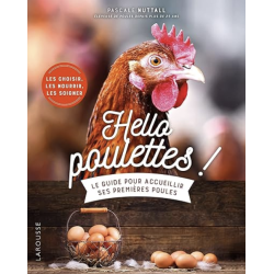 Le guide pour accueillir ses premières poules : hello poulettes !