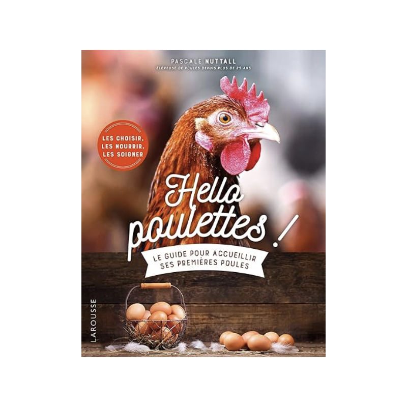 Le guide pour accueillir ses premières poules : hello poulettes !