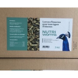 Insectes séchés plusieurs conditionnements