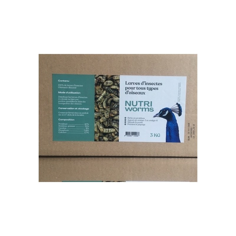 Insectes séchés plusieurs conditionnements