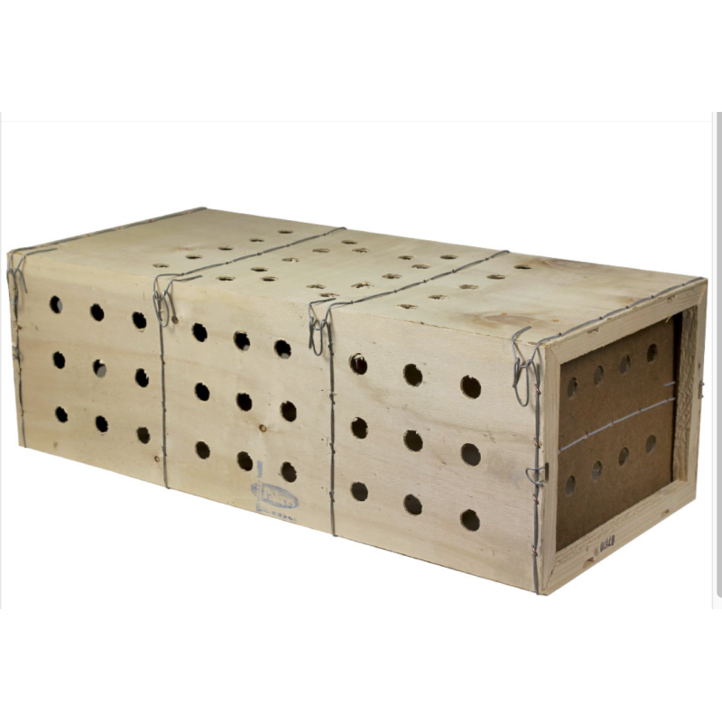 Caisse de transport en bois réutilisable