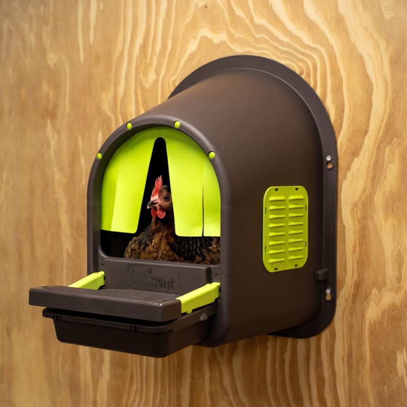 Nid de ponte avec récupérateur d'œuf